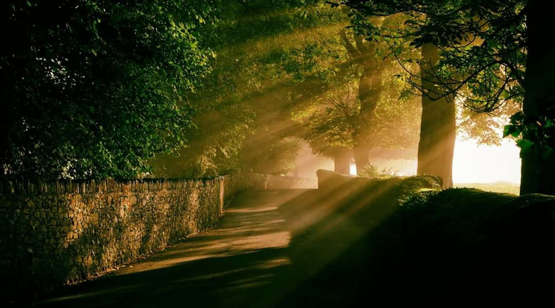 The Golden Hour: Timing Your Market Entry